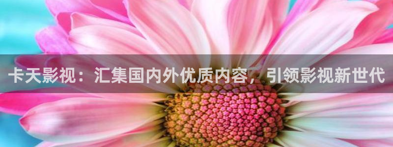 樱桃视频下载安装