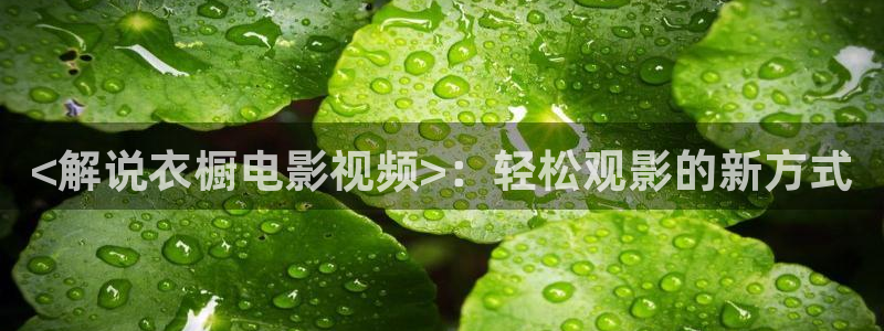 新闻图片