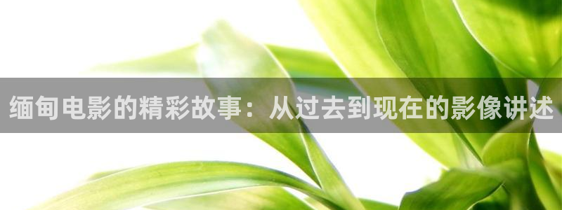 一对一视频聊天平台樱桃