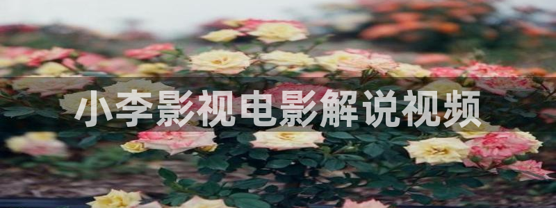 樱桃红电视剧45集免费看