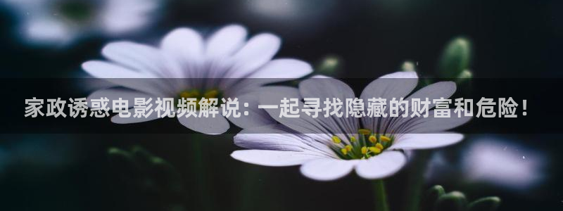 樱桃电视剧免费高清看