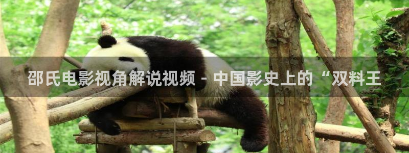樱桃视频草莓