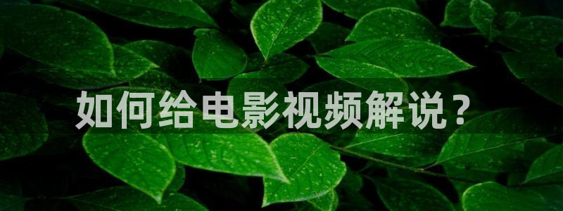 新闻图片