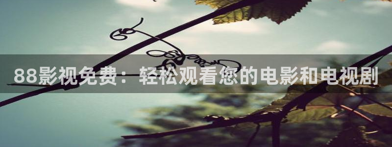 樱桃视频在哪直播